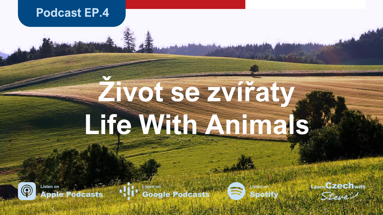 4. Life With Animals - Transcript