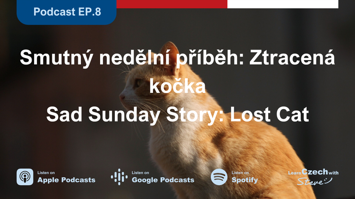 8. Sad Sunday Story: Lost Cat - Transcript